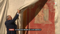 muscolino_france