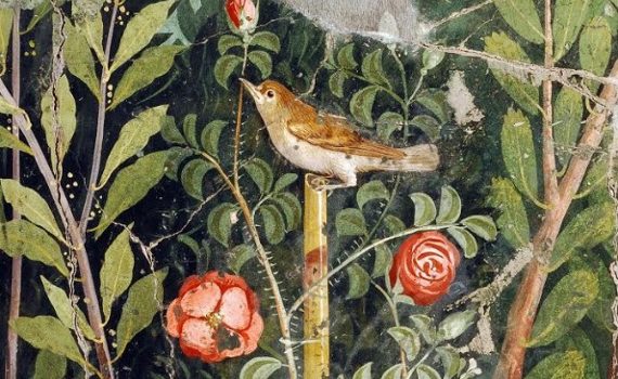 rosa antica pompei